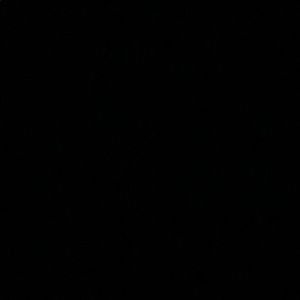 Meet your Posher, Deanna